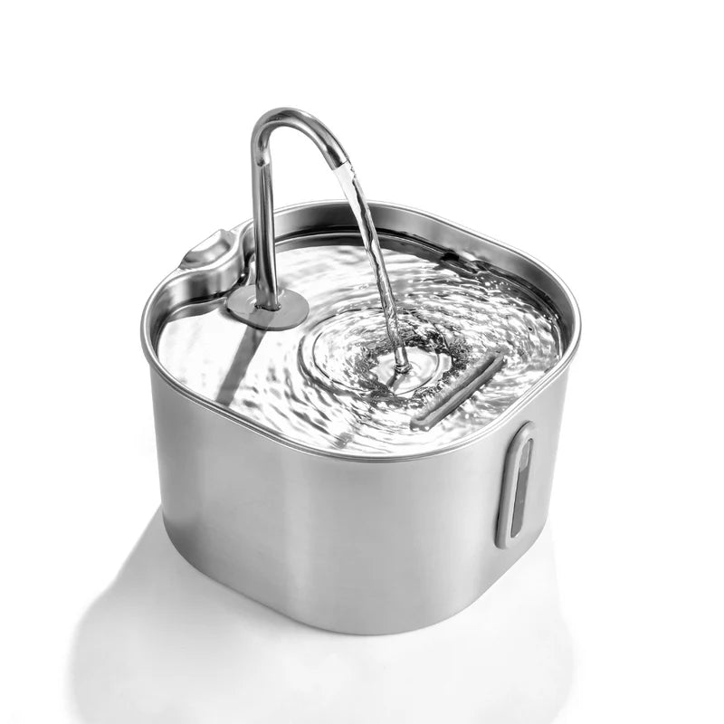 Miaou & co® - Fontaine à Eau Inox Automatique