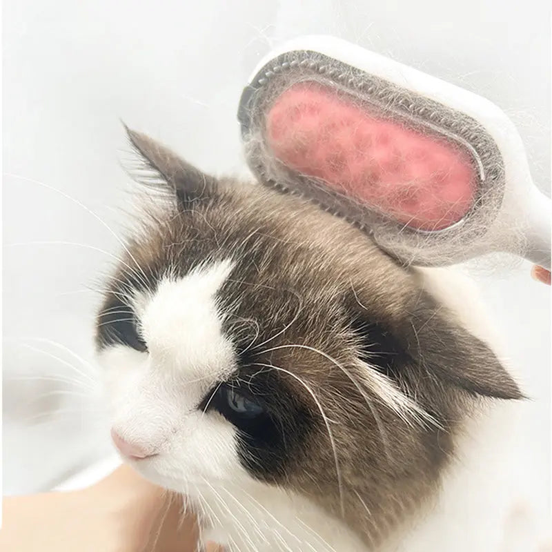Brosse pour Chat avec Réservoir d'Eau et Lingettes - Toilettage Humide sans Rinçage | Miaou&Co