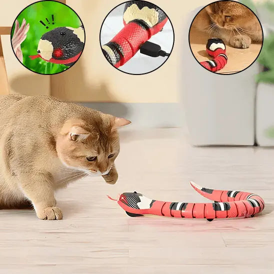 Jouet Serpent Interactif pour Chat Rechargeable USB - Mouvement Réaliste Anti-Ennui | Miaou&Co