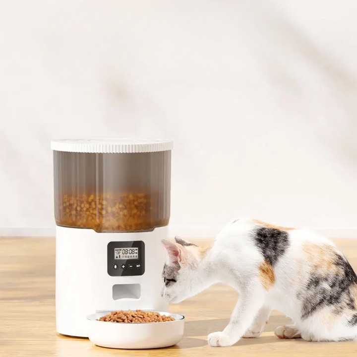Distributeur Intelligent de Nourriture pour Chat - Programmation Repas et Portions Contrôlées | Miaou&Co