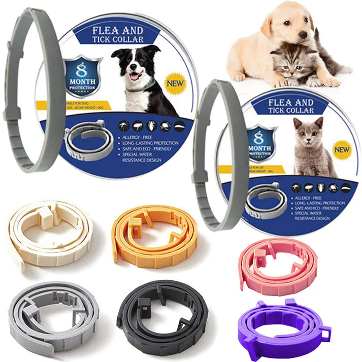 Collier Anti-Puces et Tiques pour Chat aux Extraits Naturels - Longue Durée Réglable | Miaou&Co