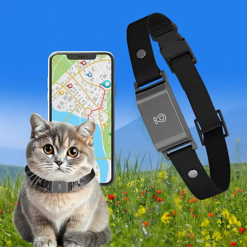 Collier GPS pour Chat sans Abonnement - Localisation Temps Réel sans Frais Mensuels | Miaou&Co