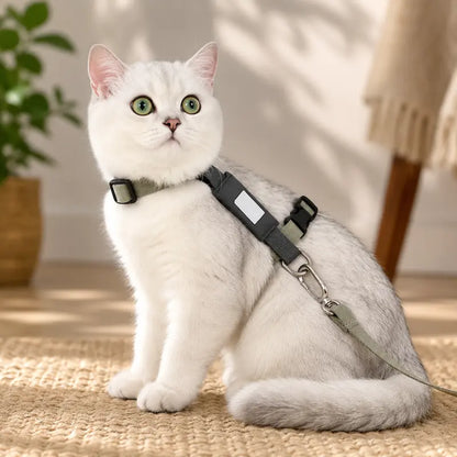 Harnais en H Respirant pour Chat Anti-Fugue - Ajustable du Chaton au Grand Chat | Miaou&Co
