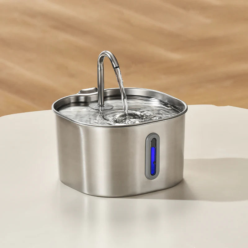 Miaou & co® - Fontaine à Eau Inox Automatique