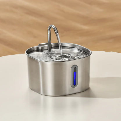 Miaou & co® - Fontaine à Eau Inox Automatique