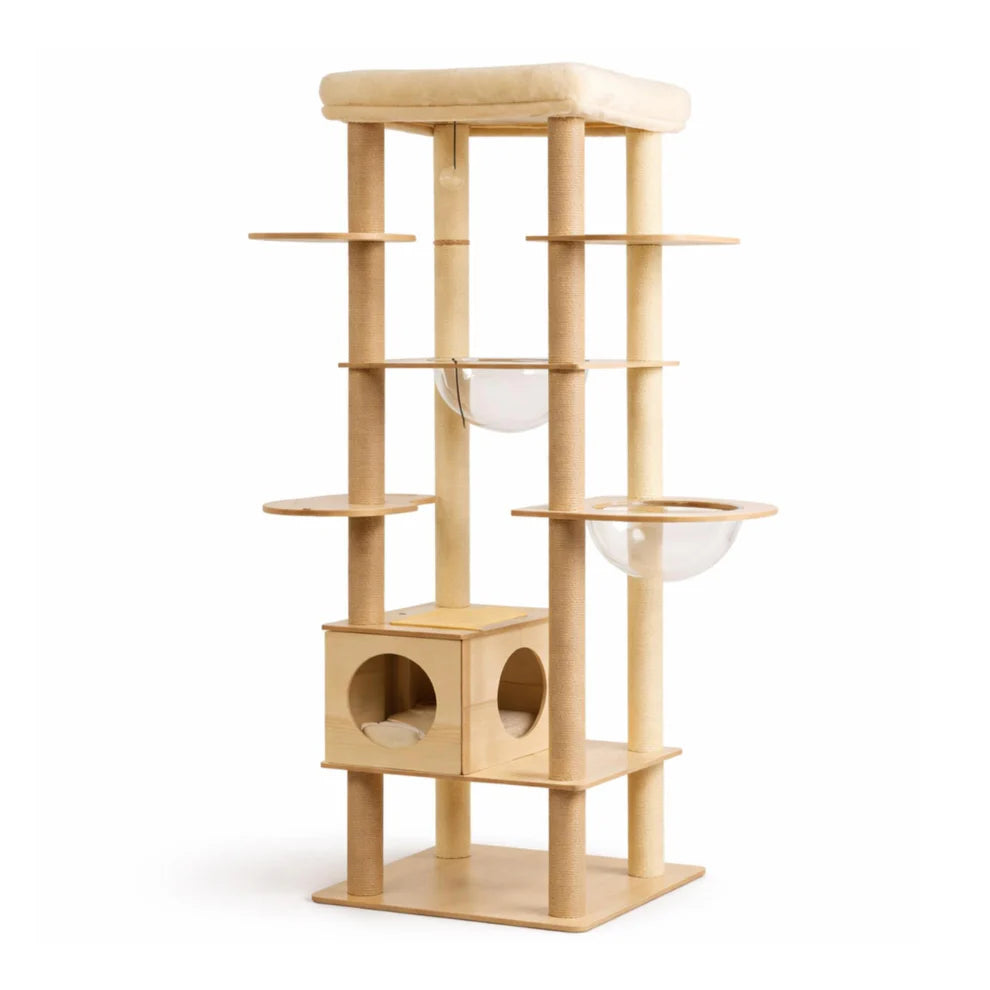 Arbre à Chat en Bois Multi-Niveaux avec Niches et Hamac - Stable pour Plusieurs Chats | Miaou&Co