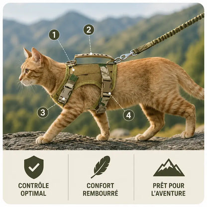 Harnais Tactique Robuste pour Chat Anti-Fugue 3 Coloris - Confort Renforcé Extérieur | Miaou&Co