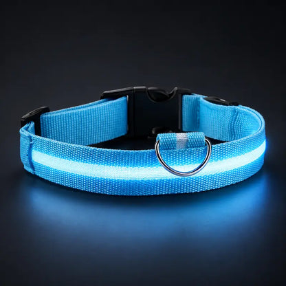 Collier Lumineux LED pour Chat 4 Tailles XS à L - Visibilité Nocturne Sorties Sécurisées | Miaou&Co
