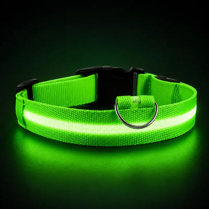 Collier Lumineux LED pour Chat 4 Tailles XS à L - Visibilité Nocturne Sorties Sécurisées | Miaou&Co