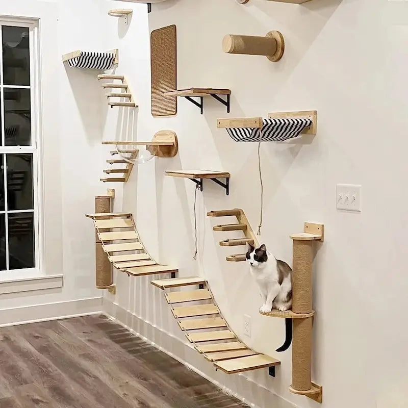 Arbre à Chat Mural Modulable 11 Modules - Étagères Hamacs et Griffoirs Gain de Place | Miaou&Co