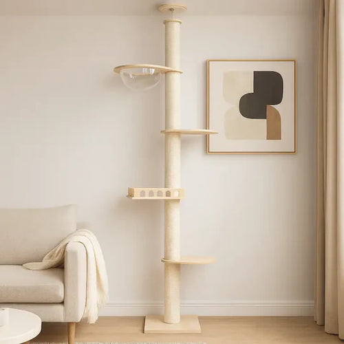 Arbre à Chat Plafond Réglable 220-260cm - Stable Sans Perçage Idéal pour Locataires | Miaou&Co