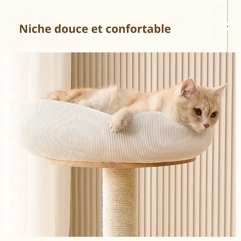Arbre à Chat Scandinave en Bois Clair 3 Tailles - Design Élégant Stable Intérieur Moderne | Miaou&Co
