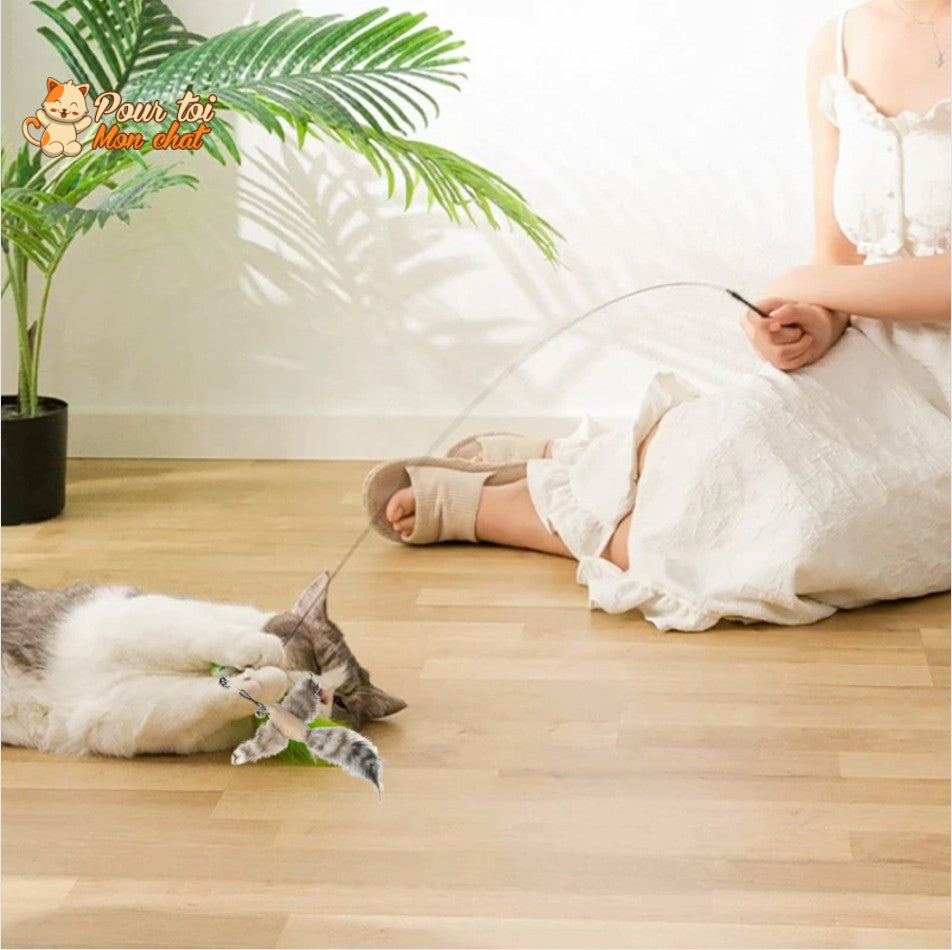 Jouet Interactif à Ventouse pour Chat Simulation Oiseau - Plumes Amovibles 4 Modèles | Miaou&Co