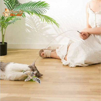 Jouet Interactif à Ventouse pour Chat Simulation Oiseau - Plumes Amovibles 4 Modèles | Miaou&Co