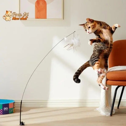 Jouet Interactif à Ventouse pour Chat Simulation Oiseau - Plumes Amovibles 4 Modèles | Miaou&Co