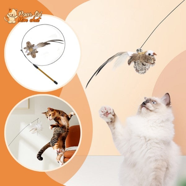 Jouet Interactif à Ventouse pour Chat Simulation Oiseau - Plumes Amovibles 4 Modèles | Miaou&Co