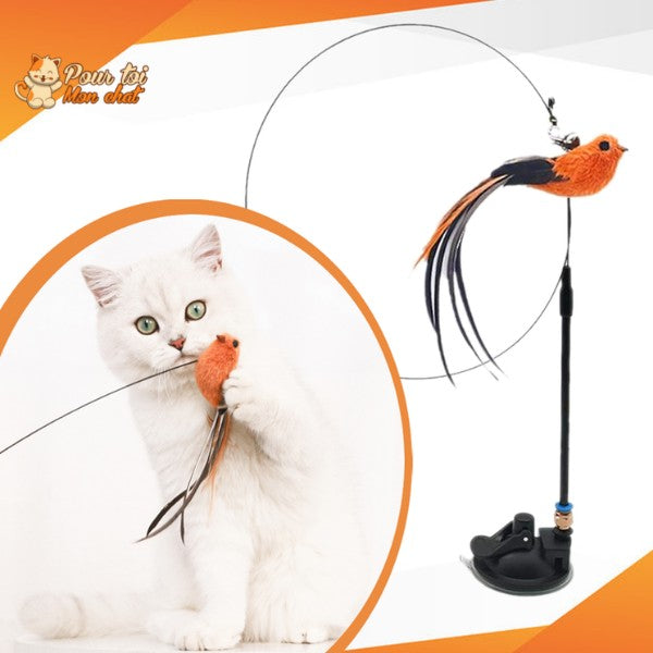Jouet Interactif à Ventouse pour Chat Simulation Oiseau - Plumes Amovibles 4 Modèles | Miaou&Co