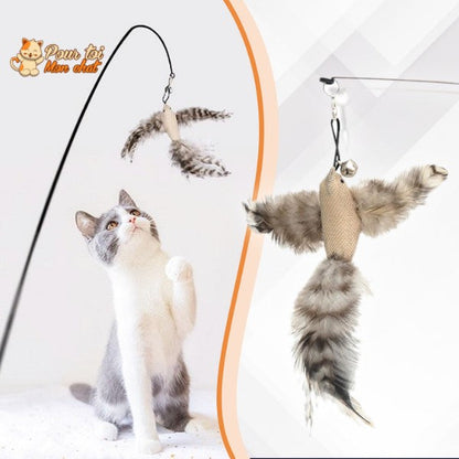 Jouet Interactif à Ventouse pour Chat Simulation Oiseau - Plumes Amovibles 4 Modèles | Miaou&Co