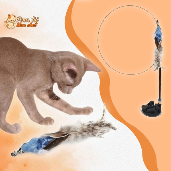 Jouet Interactif à Ventouse pour Chat Simulation Oiseau - Plumes Amovibles 4 Modèles | Miaou&Co