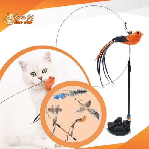 Jouet Interactif à Ventouse pour Chat Simulation Oiseau - Plumes Amovibles 4 Modèles | Miaou&Co