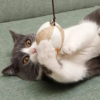Baguette de Jeu en Bois pour Chat 4 Modèles - Éveille l'Instinct de Capture | Miaou&Co