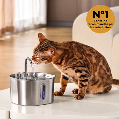 Miaou & co® - Fontaine à Eau Inox Automatique
