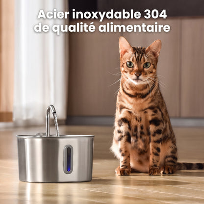 Miaou & co® - Fontaine à Eau Inox Automatique