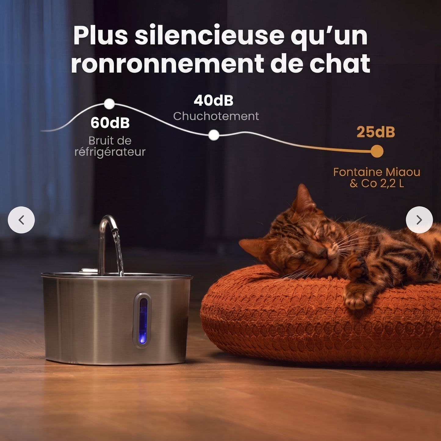 Miaou & co® - Fontaine à Eau Inox Automatique