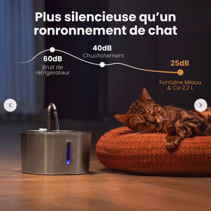 Miaou & co® - Fontaine à Eau Inox Automatique