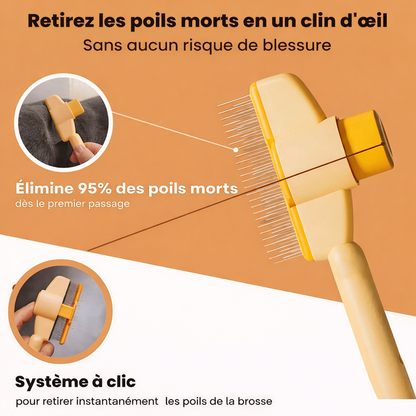 Brosse Anti-Poils pour Chat - Retire les Poils Morts et Réduit la Mue Pelage Sain | Miaou&Co
