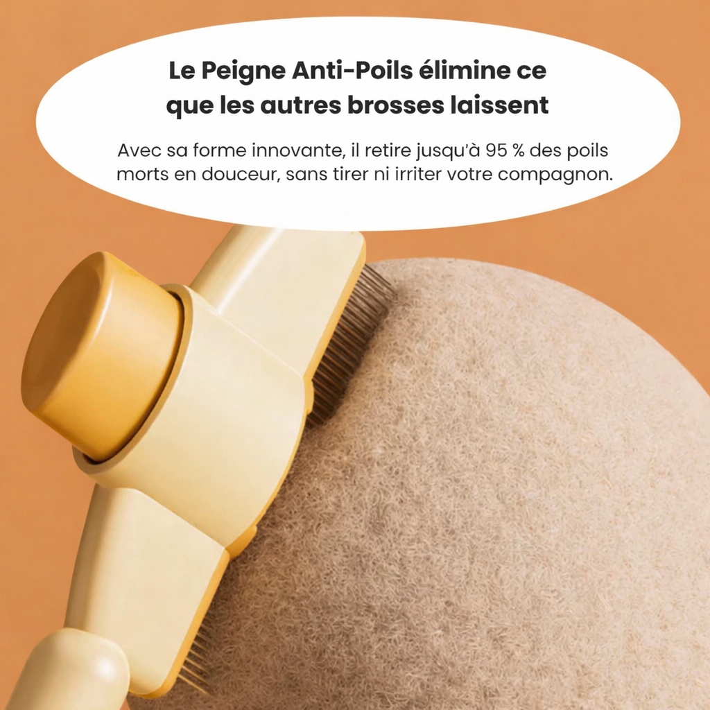 Brosse Anti-Poils pour Chat - Retire les Poils Morts et Réduit la Mue Pelage Sain | Miaou&Co