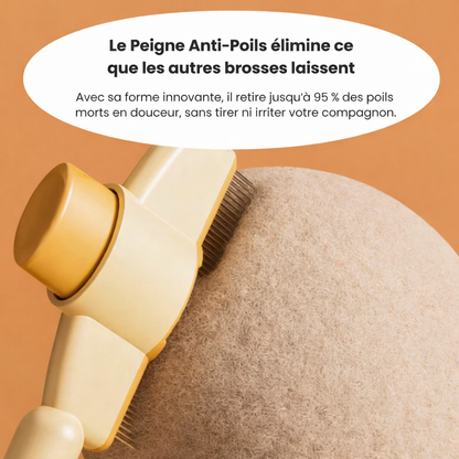 Brosse Anti-Poils pour Chat - Retire les Poils Morts et Réduit la Mue Pelage Sain | Miaou&Co