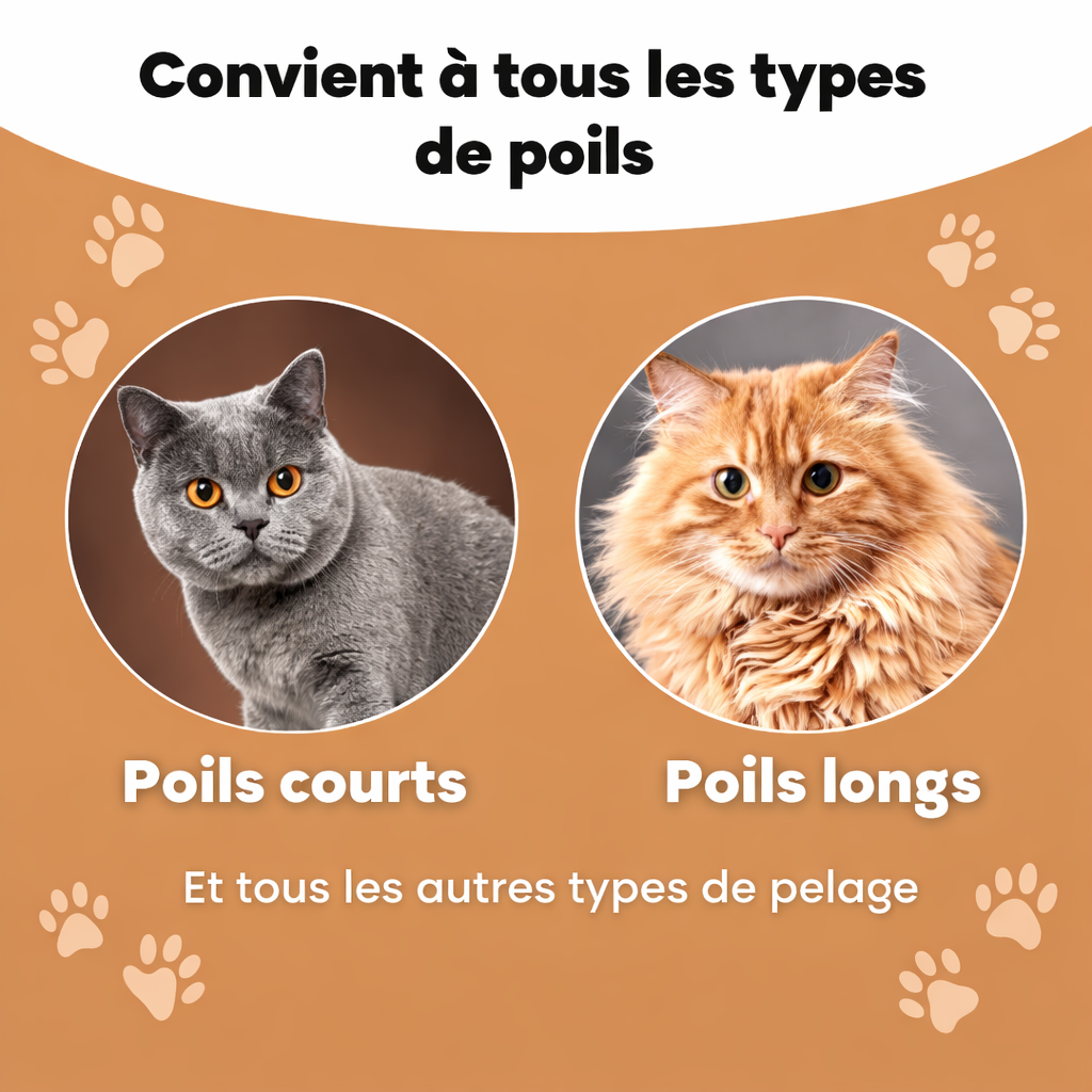 Brosse Anti-Poils pour Chat - Retire les Poils Morts et Réduit la Mue Pelage Sain | Miaou&Co