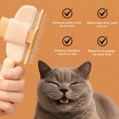 Brosse Anti-Poils pour Chat - Retire les Poils Morts et Réduit la Mue Pelage Sain | Miaou&Co