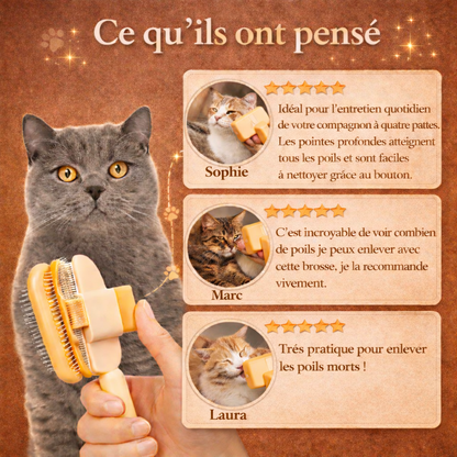 Brosse Anti-Poils pour Chat - Retire les Poils Morts et Réduit la Mue Pelage Sain | Miaou&Co