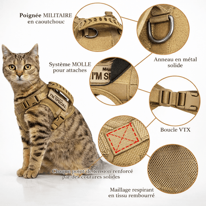Harnais Militaire pour Chat avec Sangles Ajustables - Maintien Sûr en Balade 3 Coloris | Miaou&Co