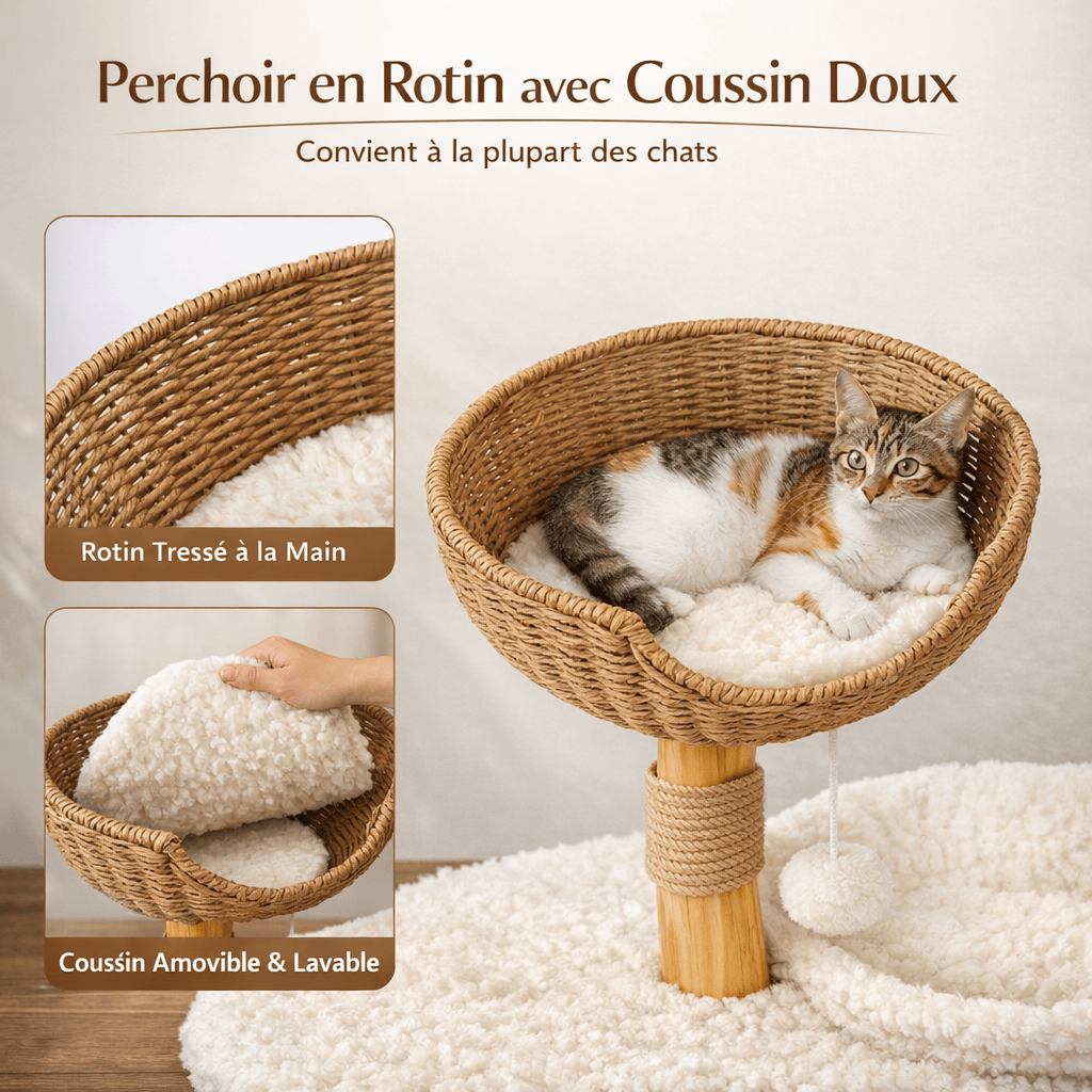 Petit Arbre à Chat avec Niche Intégrée - Cocon Stable Idéal pour Petits Espaces | Miaou&Co