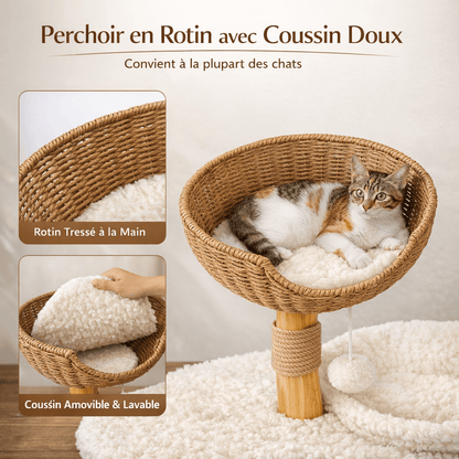 Petit Arbre à Chat avec Niche Intégrée - Cocon Stable Idéal pour Petits Espaces | Miaou&Co