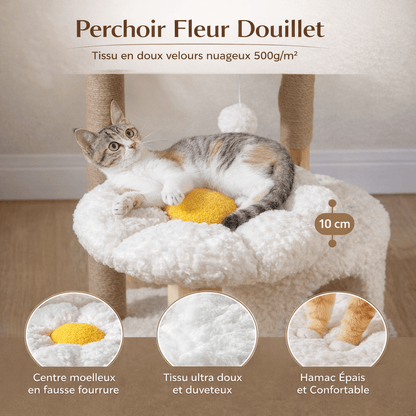 Petit Arbre à Chat avec Niche Intégrée - Cocon Stable Idéal pour Petits Espaces | Miaou&Co