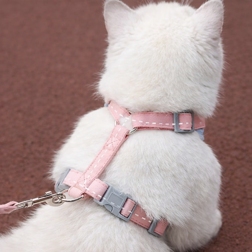 Harnais pour Chat Ajustable Anti-Fugue 4 Tailles XS à L - Coupe Enveloppante 3 Coloris | Miaou&Co
