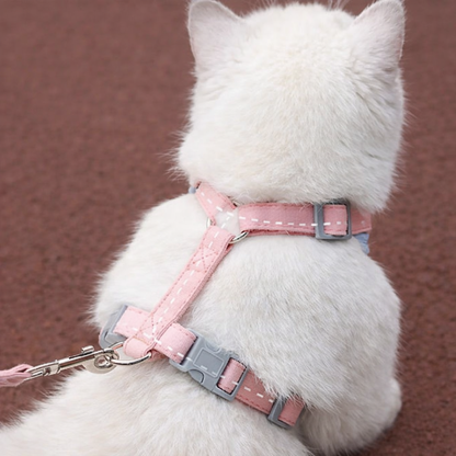 Harnais pour Chat Ajustable Anti-Fugue 4 Tailles XS à L - Coupe Enveloppante 3 Coloris | Miaou&Co