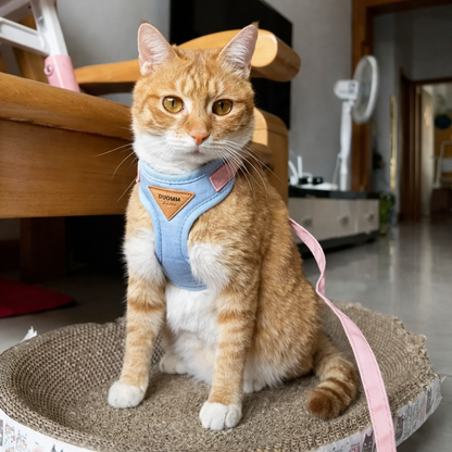 Harnais pour Chat Ajustable Anti-Fugue 4 Tailles XS à L - Coupe Enveloppante 3 Coloris | Miaou&Co