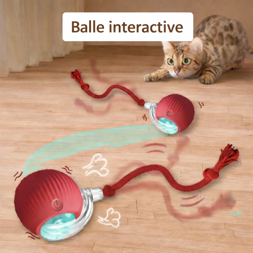 Balle Interactive pour Chat Rechargeable USB - Rotation Automatique et LED Anti-Ennui | Miaou&Co