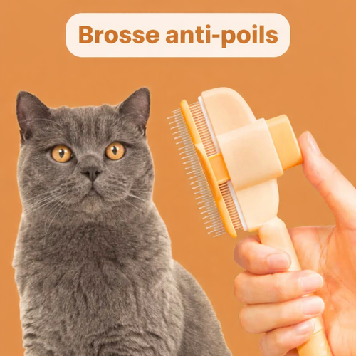 Brosse Anti-Poils pour Chat - Retire les Poils Morts et Réduit la Mue Pelage Sain | Miaou&Co