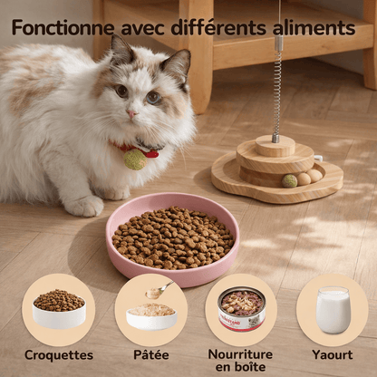 Lot de 2 Assiettes en Silicone Souples pour Chat - Stables et Faciles à Nettoyer | Miaou&Co