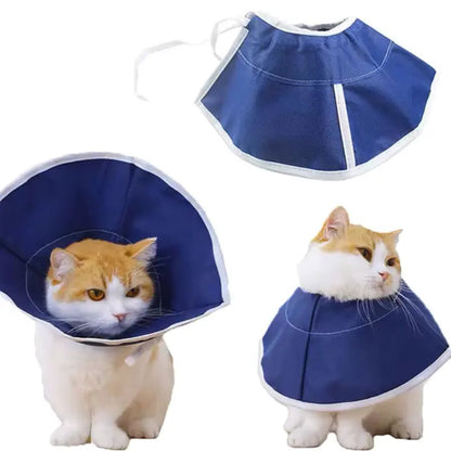 Collerette de Protection Confortable pour Chat 2 Tailles - Anti-Léchage Post-Opératoire | Miaou&Co