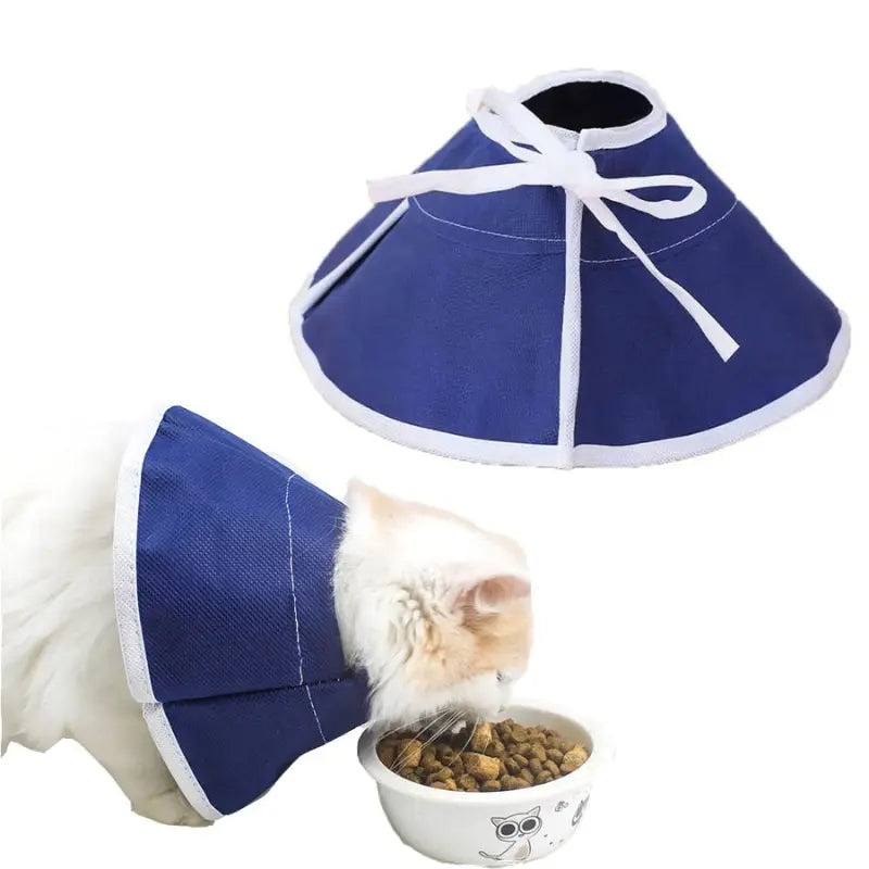 Collerette de Protection Confortable pour Chat 2 Tailles - Anti-Léchage Post-Opératoire | Miaou&Co