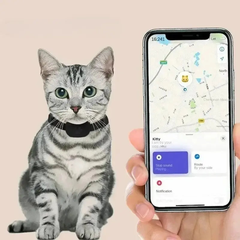 Collier de Localisation GPS pour Chat sans Abonnement - Suivi Temps Réel Compatible iOS | Miaou&Co
