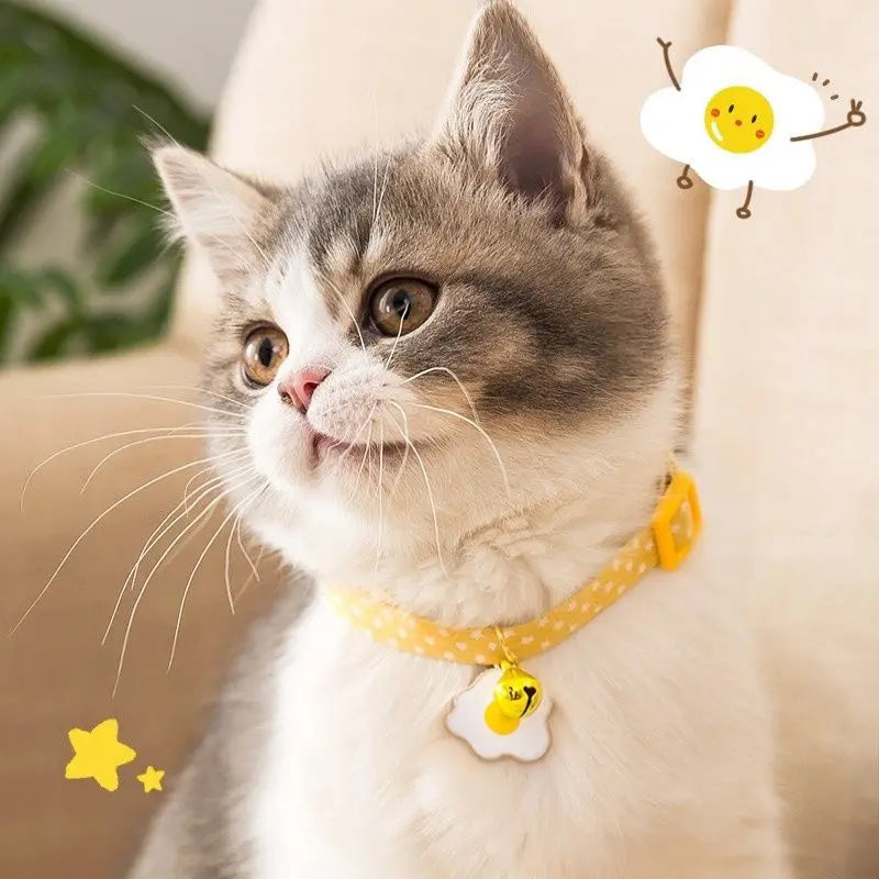 Collier Réglable pour Chaton avec Clochette - Tour de Cou 17-32cm Fermeture Sécurisée | Miaou&Co