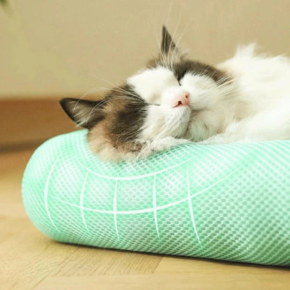 Coussin Rafraîchissant pour Chat 4 Tailles S à XL - Fraîcheur Instantanée Fortes Chaleurs | Miaou&Co
